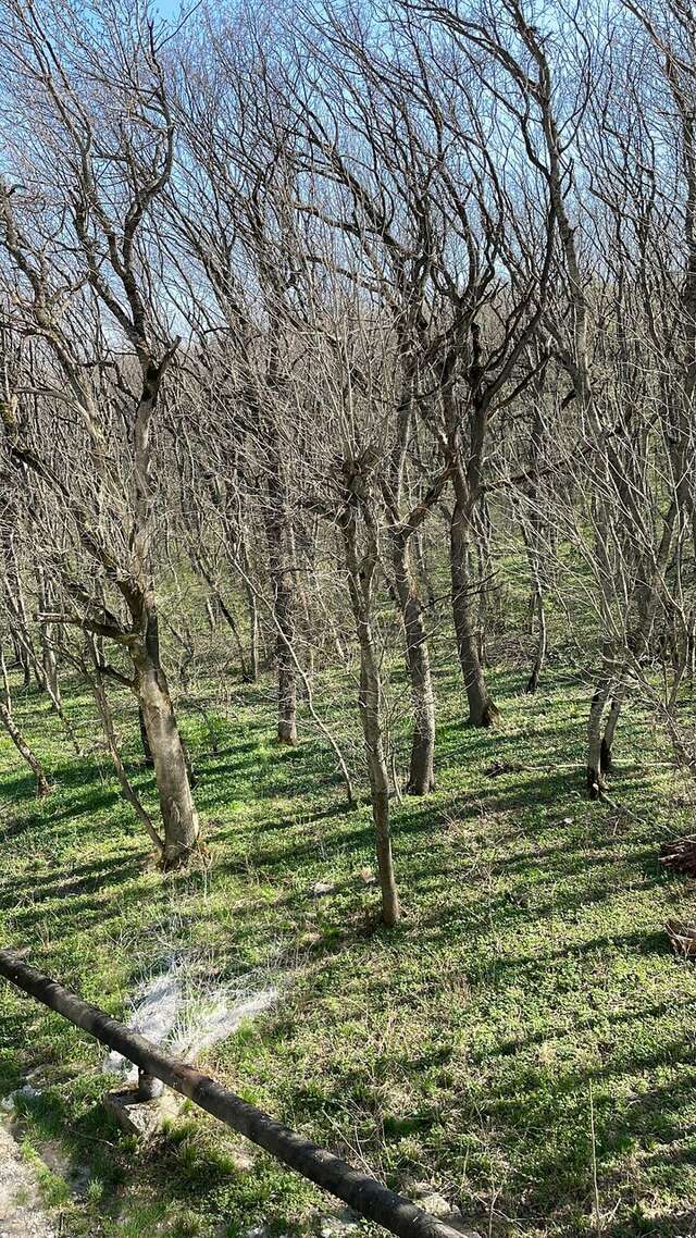 Гостиница Затерянный Рай у Машука Пятигорск-204