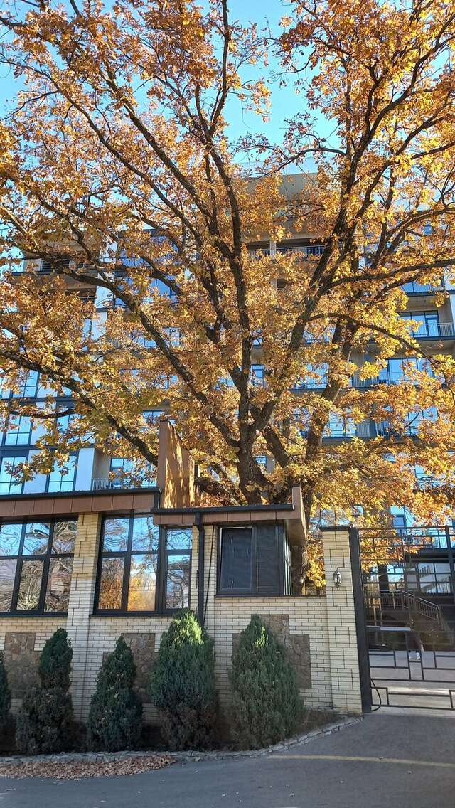 Гостиница Затерянный Рай у Машука Пятигорск-215