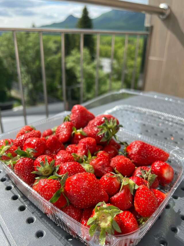 Гостиница Затерянный Рай у Машука Пятигорск-224