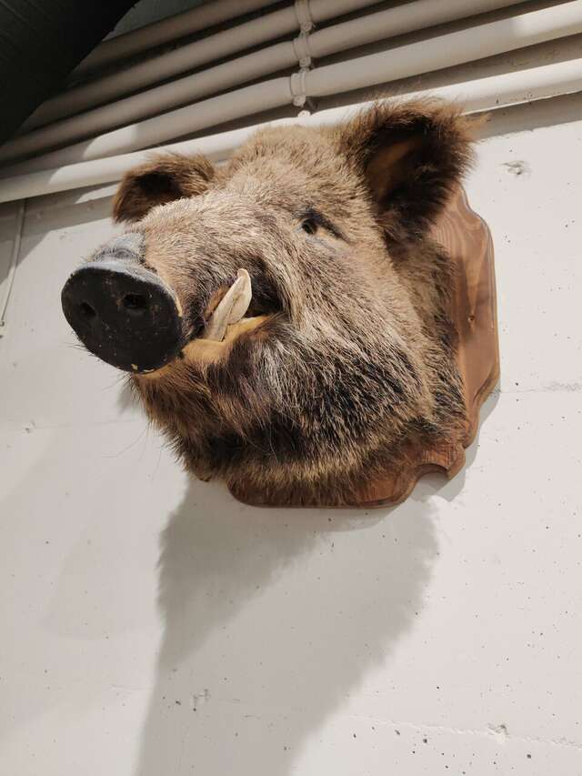 Гостиница Затерянный Рай у Машука Пятигорск-251